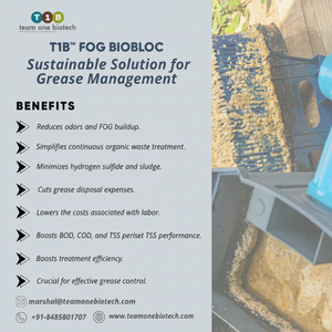 Traitement de la graisse pour cuisines commerciales : Bloc de lavage et de stérilisation des vaisselles et traitement des graissières pour cuisines alimentaires - Product Image 1