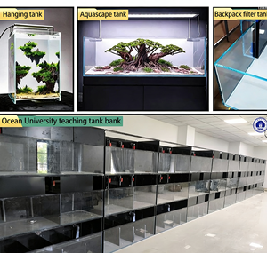 Aquarium en verre ultra-clair de taille personnalisée, grand, moyen, petit, pour plantes aquatiques, paysages aquatiques, eau de mer, tortues - Product Image 2