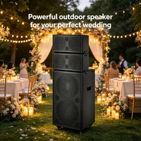 Altavoces Estéreo Inalámbricos de Madera para Escenario, Equipo de Sonido de Gran Potencia para el Hogar, Amplificadores con Audio para Exteriores
