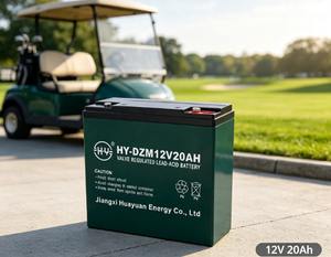 Wartungsfreie Elektrofahrräder/E-Scooter Elektrische Rollstühle 6 <span class=keywords><strong>DZM</strong></span> <span class=keywords><strong>20</strong></span> 12V 20Ah DZM12V20AH Blei-Säure-Batterie Wiederaufladbar - Product Image 5