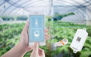 Sensor de temperatura y humedad con pantalla digital eléctrica KKM K6P para monitoreo de temperatura interior - Product Image 6