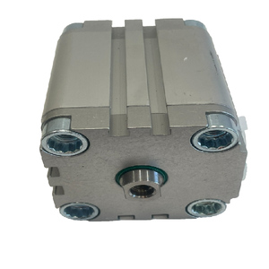 Cilindro Compatto ADVU-50-50-P-A 156556 ADVU5050PA, Controllore di Programmazione per Automazione Industriale - Product Image 1