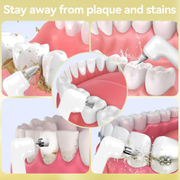 1500mah Rechargeable Sans Fil De Poche Dentaire Polisseuse Oral Care Kit De Blanchiment Des Dents En Matière Plastique