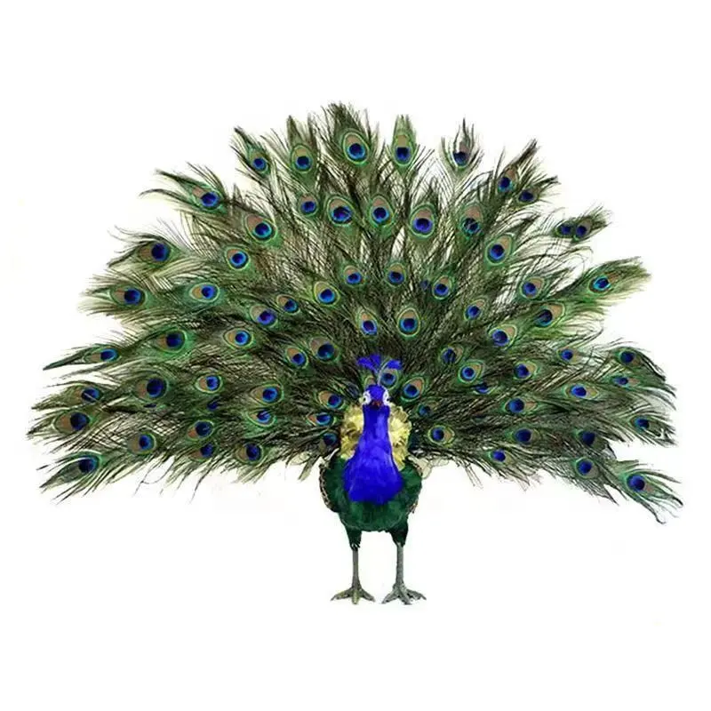 منتج جديد بسعر الجملة زينة عيد الميلاد بالحجم الطبيعي طاووس صناعي للحفلات طيور الطاووس للديكور
