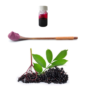 Top Quality Elderberry สารสกัดจาก5:1 10:1 20:1อาหารเสริมบริสุทธิ์สารสกัดจาก Elderberry ผงอาหารเพื่อสุขภาพ - Product Image 2