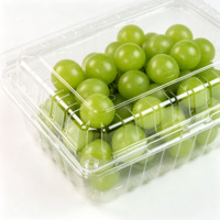 Boîte d'emballage transparente en plastique pour fruits et légumes, prix usine, pour l'emballage des raisins, des litchis, des cerises et des tomates