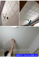 Panneau mural 3D pour plafond, blanc, imperméable, antistatique, ignifuge, usage hôtelier, écologique