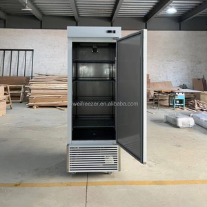 Congelador Comercial American Standard 110V para Cocina Occidental, Refrigerador para Hotel, Equipo de Cocina Industrial - Product Image 4