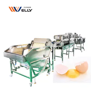 Separador automático de huevos de pato y Ganso, separador de huevos frescos, máquina separadora de yema blanca, 1500 huevos por hora