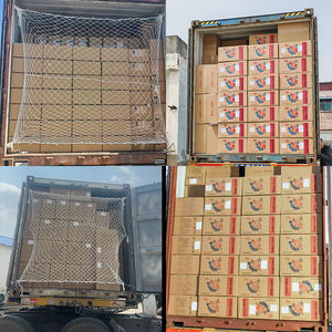 Patlamış Mısır Fabrikası Toplu Tedarik: Besleyici ve Eşsiz Tahıl Atıştırmalığı, Glutensiz Mantarlı Patlamış Mısır 280g Paket - Product Image 6