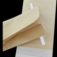 Emballage durable de glace à base de papier à base de glace Popsicle Pochettes en papier kraft à fermeture à soufflet à surface inscriptible écologique