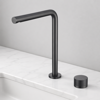 Robinet de lavabo moderne avec cartouche céramique, options de hauteur, monotrou, monocommande, design personnalisé, économique pour salon