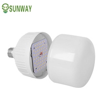 Colonnes lumineuses led, E27, B22, 5, 10, 20, 30, 40, 50, 60w, ampoule, E27, 22, T50, T60, T70, T80, T100, T120, T135, T140, puissance de 100lm/w