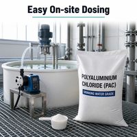 Chlorure de polyaluminium en poudre blanche PAC 30% pour le traitement de l'eau potable municipale