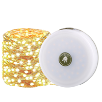 Lanterne solaire de camping rétractable avec guirlande lumineuse en cuivre RGB blanc chaud 2000mAh USB IP65 CE ETL FCC pour extérieur, patio, tente