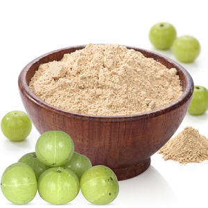 Polvo de fruta Amla de la mejor calidad de la India - Product Image 1