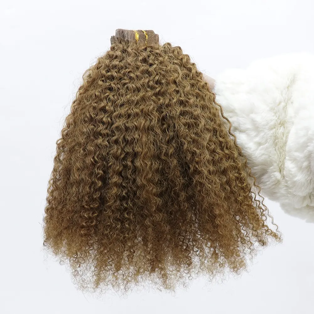 Afro Kinky Curly #27 Tape In Hair Extension Whosale 100% Virgin Human Hair Natural Color 4B 4C Tape ins