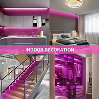 Ruban LED Néon Flexible Rose 12V de 5m (16,4ft) Étanche pour Vitrines et Présentoirs de Magasins – Idéal pour les Designers de Vitrines et de Commerces