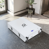 Madsun Prix compétitif Batterie Lifepo4 murale 51.2V 200Ah 10kW Smart BMS Système de batterie solaire de stockage d'énergie pour la maison