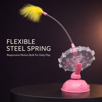 Bâton de jeu pour chat lumineux et flexible, avec plume et clochette détachables, pour l'entraînement des chatons en intérieur, design personnalisé disponible, fournitures pour animaux de compagnie