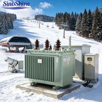 SinoShine Güç Trafosu Elektrik Ekipmanları Trafoları Soğuk Yağlı Trafolar 200-5000kVA Yağlı Tip 35kV/0.4kV