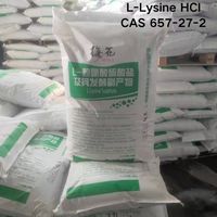 Lysine en poudre de qualité alimentaire, fortifiant nutritionnel, L-lysine, fourni par l'usine