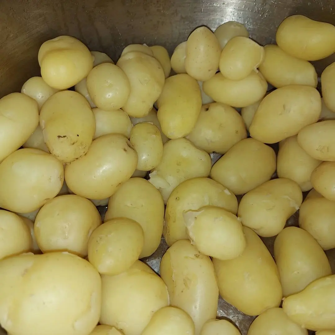 Qualität Frisch Günstige Kartoffel Weiß...