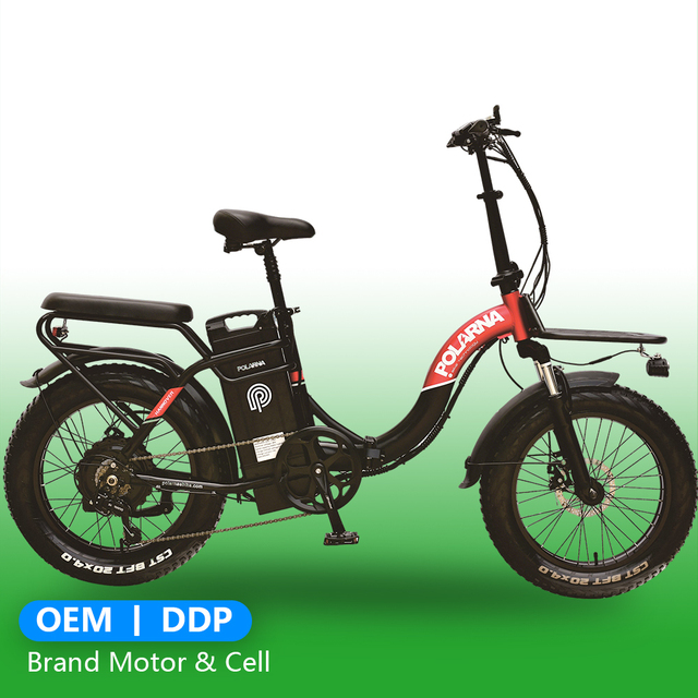 GOSEN 750W 48V 30Ah Long Range Folding Electric Bike 20 Inch Fat Tire Steel Frame Cargo Delivery Ebike Bicycle for Adults