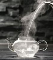 Pichet à thé transparent personnalisé soufflé à la main de 250 ml (8,5 oz) – Théière en verre Kung Fu avec infuseur