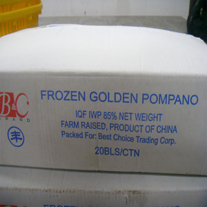 Frozen whole gold round Pompano <strong>Trachinotus</strong> <strong>Ovatus</strong> for sale - Product Image 6