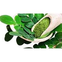 Extrait de poudre de Moringa, superaliment naturel, complément alimentaire à base de plantes pour l'énergie, l'immunité, la détoxification, le bien-être et la nutrition quotidienne, à base de plantes