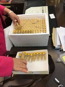 0.1g 24 <span class=keywords><strong>k</strong></span>正品食用金叶金片箔食品可食用金叶叶烘焙蛋糕面部美容化妆品 - Product Image 4