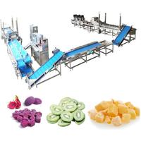 Industriële Bevroren Fruit Maken Machine Verwerkingslijn Vers Fruit Wassen Peeling Coring Snijden Snijden Iqf Vriesmachine