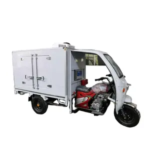 China supplier ice cream tricycle freezer price refrigeration vehicle motorized Cargo Tricycle