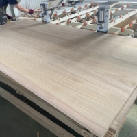 Tablas de Madera Maciza de Paulownia Natural Blanqueable de 4x8 pies para Fabricación de Ataúdes
