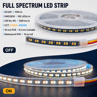 Bande LED étanche IP67 à spectre complet 24V, CRI95 élevé, SMD2835, 192 LED/m, blanc réglable, ruban lumineux flexible