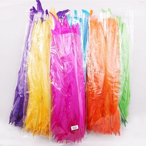 12-14 "Tẩy Trắng Và Nhuộm Dài Đầy Màu Sắc Giá Rẻ Bán Carnival Dậu Gà Trống Đuôi Lông 30-35CM Để Trang Trí Quần Áo - Product Image 3
