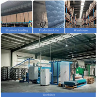 Dalles de moquette commerciales modernes Liuguang en polypropylène 50x50 pour bureaux – Vente chaude