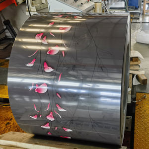 Z100ม้วนเหล็กชุบสังกะสี planchas de acero แผ่นโลหะ PCM - Product Image 3