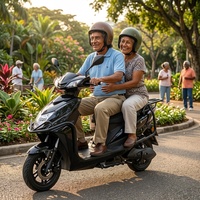 Moto électrique de loisirs urbaine de haute qualité 1200W 60V puissante avec batterie au plomb/lithium