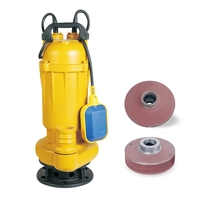 Pompe à eaux usées submersible en fonte de drainage agricole non colmatante 30HP 3 phases électrique
