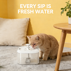 Neues Haustierprodukt 2026: Ultra-leiser Kabelgebundener Wasserpumpen-Trinkbrunnen für Katzen mit USB-Stromversorgung - Product Image 6