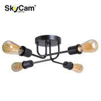 SkyCam OEM/ODM irrégulier Simple moderne salon monté en Surface plafonnier Art en fer