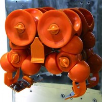 120W Commerciële Fruit- en Groentepers Automatische Aanvoer Sinaasappelpers Citroenpers Efficiënte Sapcentrifuge