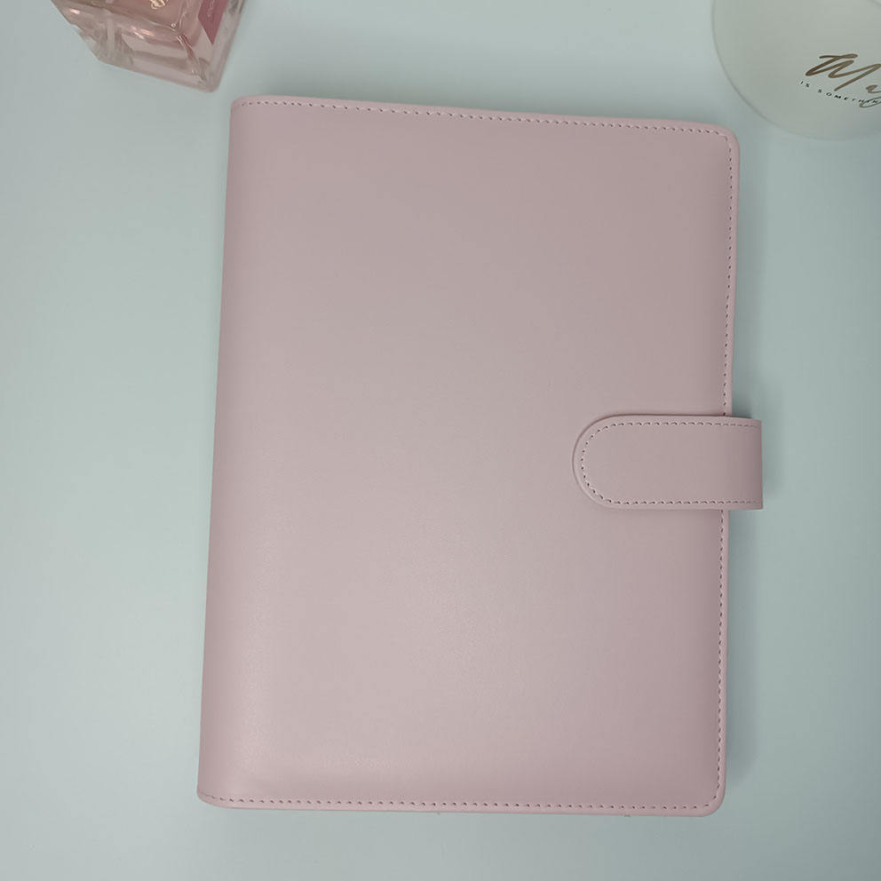 Light Pink Budget Binder Cover
