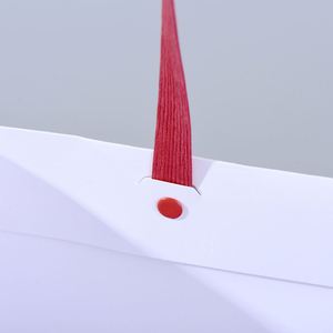 Bolsas de Compra Personalizadas de Papel Kraft con Asas Retorcidas, Materiales Reciclados, Empaque de Regalo de Lujo, Logotipo y Tamaño Personalizados - Product Image 5