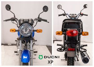 XP-DC150-5 125CC 150CC 200CC Optionnel <span class=keywords><strong>Moto</strong></span> de banlieue avec porte-bagages arrière et barre anti-chute, durable, à essence, pour l'Afrique et l'Amérique du Sud - Product Image 6