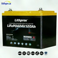 Batterie LiFePO4 à décharge profonde 24V 120AH Grade A pour pêche à la traîne, bricolage, camping-car, BMS intelligent RS485, connecteur Anderson, 6000+ cycles, CE RoHS IP67 OEM ODM