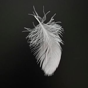 Relleno de <span class=keywords><strong>plumas</strong></span> de ganso 100% a granel y relleno de almohada, reparación, relleno, pelusa <span class=keywords><strong>para</strong></span> <span class=keywords><strong>cojines</strong></span> de sofá, edredones, chaquetas DIY - Product Image 1