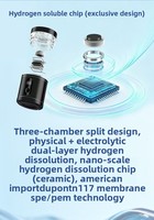 Bouteille d'eau hydrogénée portable avec technologie SPE/PEM et bouteille d'eau hydrogénée pure à 5000 ppb, 2400 ppb